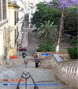 2024 02 09  ORAN - RUE DEGUGIS (6)